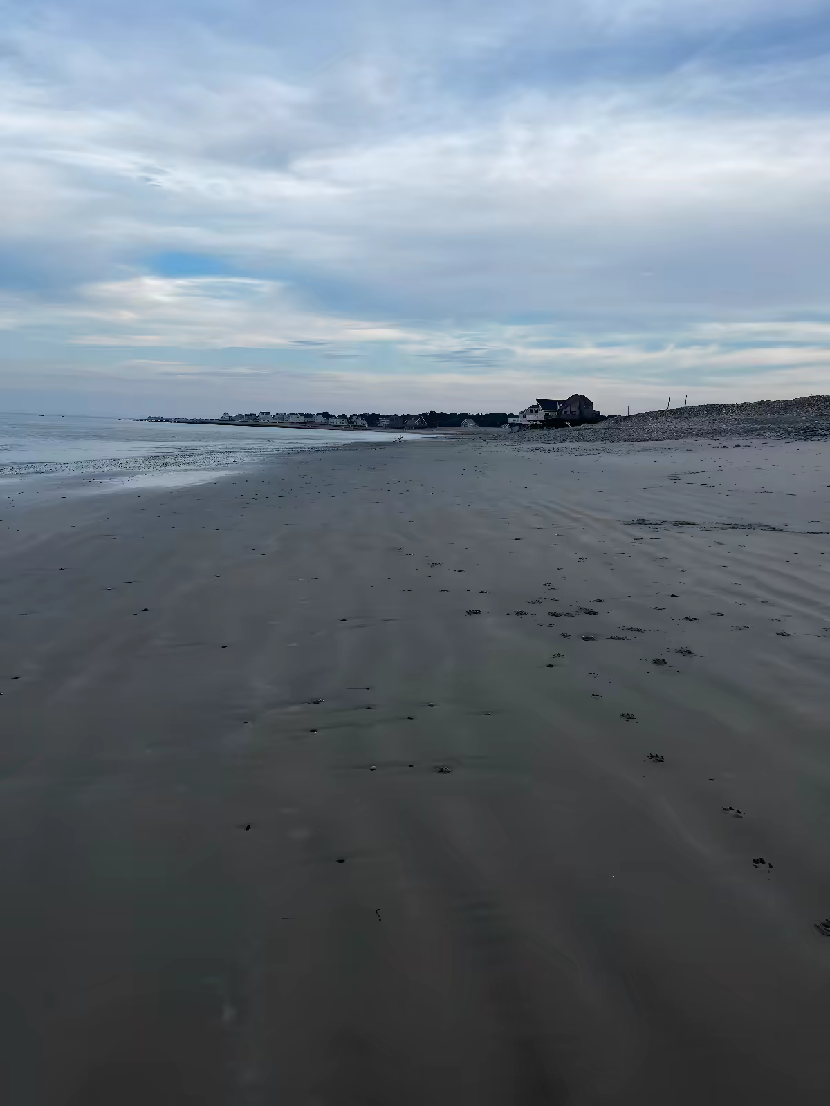 Wide empty sandy beach with houses along the dune line